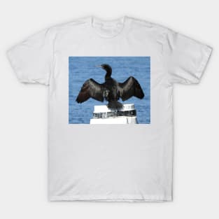 Little Black Cormorant T-Shirt